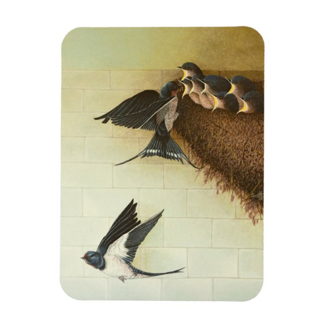 Magnet Flexible Bouches affamées 2011 (Vertical)