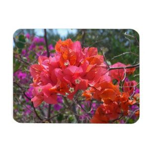 Magnet Flexible Bougainvillea Floral Islandaise Rose Tropicale