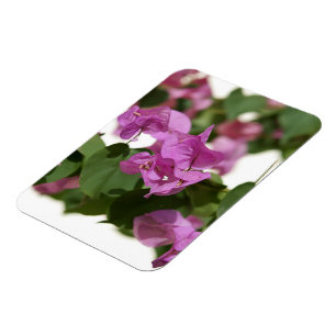 Magnet Flexible Bougainvillée