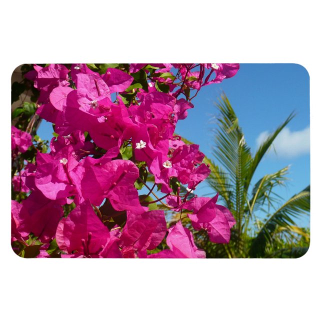Magnet Flexible Bougainvilliers et palmiers paysage tropical (Horizontal)
