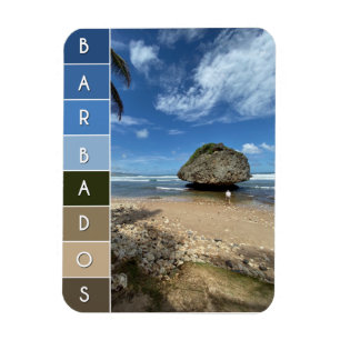 Magnet Flexible Boulder de corail - Bathsheba, Barbade