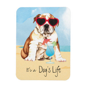 Magnet Flexible Bouledogue d'été