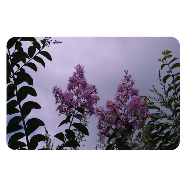 Magnet Flexible Bouquet de fleurs roses (Horizontal)