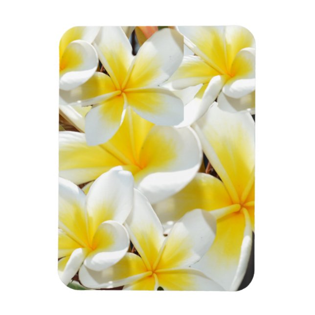 Magnet Flexible Bouquet Frangipani, aimant flexible (Vertical)
