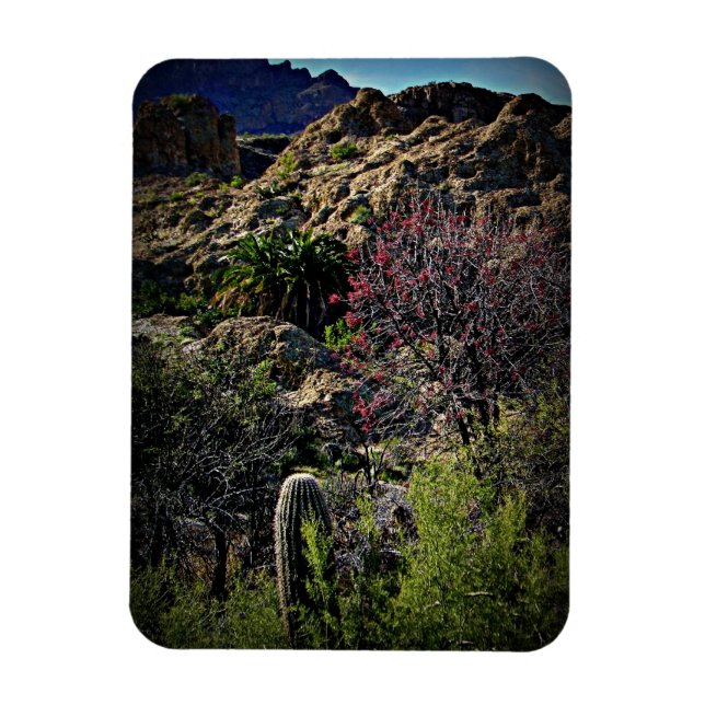 Magnet Flexible Boyce Thompson Arboretum (Vertical)