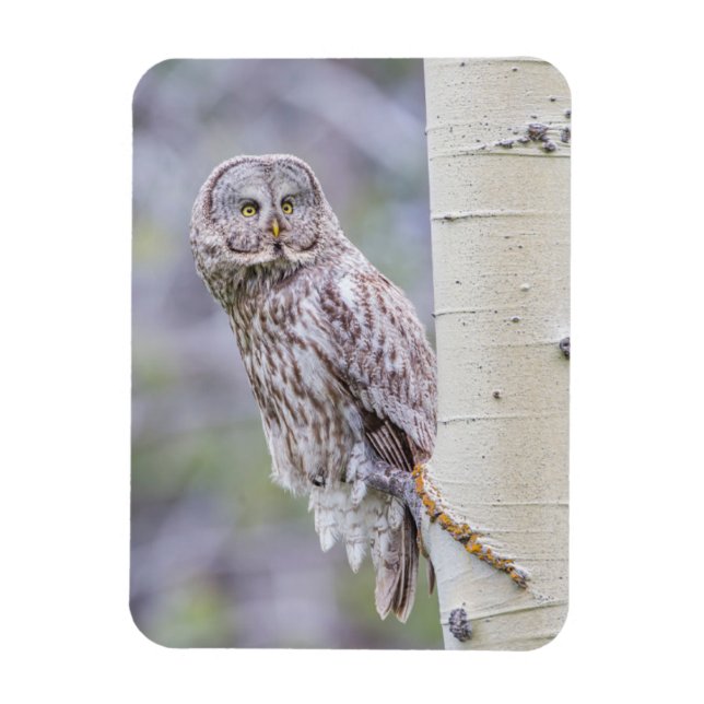 Magnet Flexible Branche d'arbre d'astre gris (Vertical)