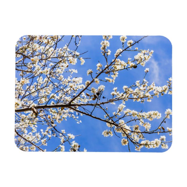 Magnet Flexible branche de floraison (Horizontal)