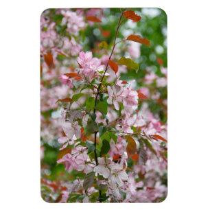 Magnet Flexible Branche délicate avec fleurs pommier