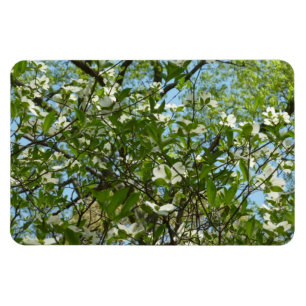 Magnet Flexible Branche of Dogwood Blossoms Spring Trees