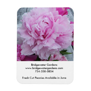 Magnet Flexible Bridgewater fait du jardinage aimant de pivoines