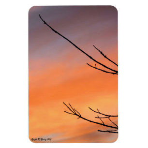 Magnet Flexible Brindilles avec coucher de soleil orange, rouge, v