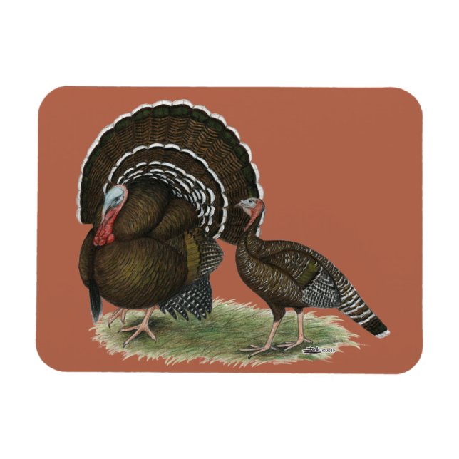 Magnet Flexible Bronze standard de Turkey (Horizontal)