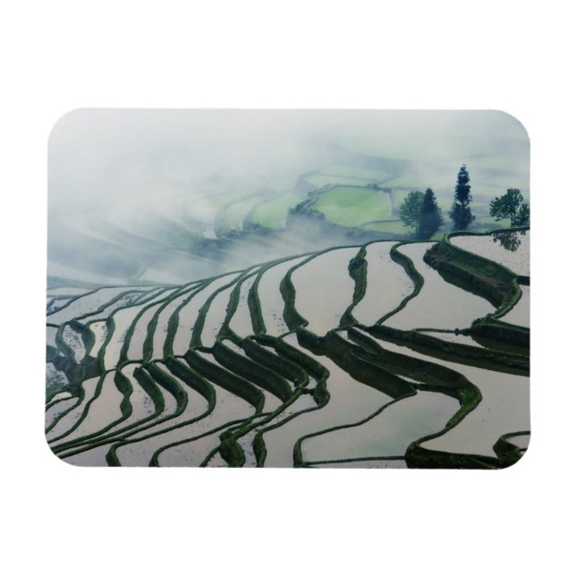 Magnet Flexible Brouillard matinal au-dessus des champs de riz (Horizontal)