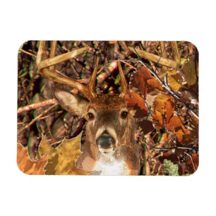 Magnet Flexible Buck in Camo White Tail Deer