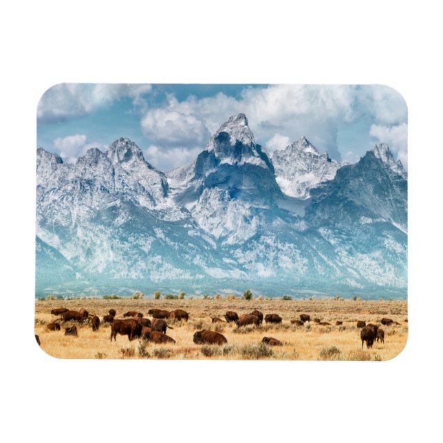 Magnet Flexible Buffle sous les montagnes du Grand Teton (Horizontal)