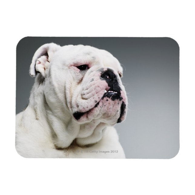 Magnet Flexible Bull (Horizontal)