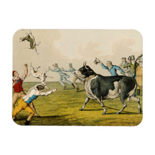 Magnet Flexible "Bull Baiting", pub. de Thomas McLean, 1820, (prin
