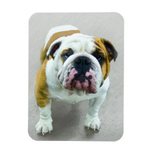 Magnet Flexible Bulldog Painting - Joli art original chien