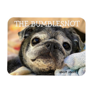 Magnet Flexible Bumblesnot aimant : ronfle
