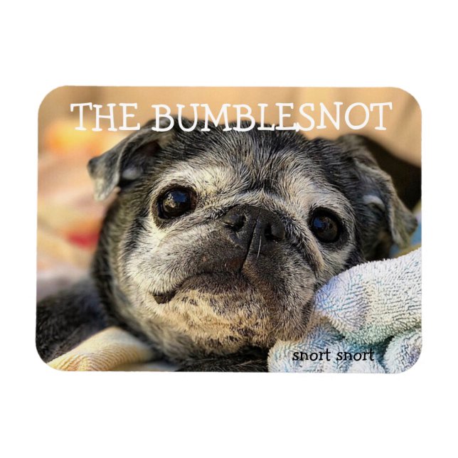 Magnet Flexible Bumblesnot aimant : ronfle (Horizontal)