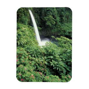 Magnet Flexible CA, Costa Rica. Cascade de La Paz et impatients