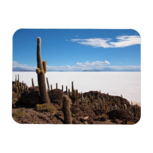 Magnet Flexible Cactus à l'aimant rectangulaire Salar de Uyuni