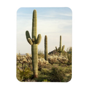 Magnet Flexible Cactus de Saguaro, Arizona, Etats-Unis
