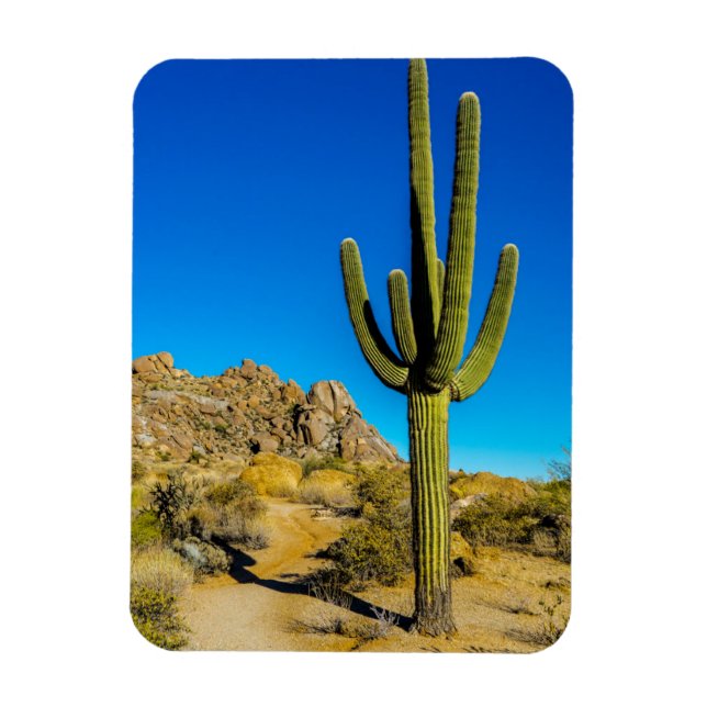 Magnet Flexible Cactus debout (Vertical)