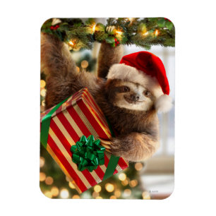 Magnet Flexible Cadeaux de jonction