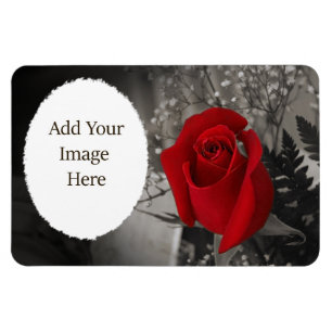 Magnet Flexible Cadre rouge rose noire et blanche ovale