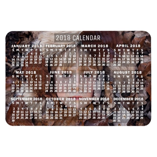 Magnet Flexible Calendrier 2018 (Voir la description pour la nouve (Horizontal)