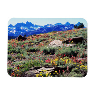 Magnet Flexible Californie, Montagnes de la Sierra Nevada 1