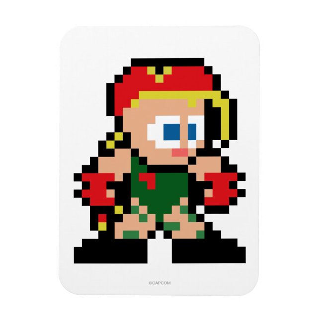 Magnet Flexible Cammy à 8 bits (Vertical)