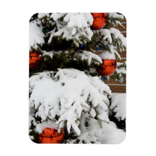 Magnet Flexible Canada, Alberta, Jasper, Jasper NP. Fairmont 2