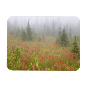 Magnet Flexible Canada, Colombie-Britannique, Revelstoke National