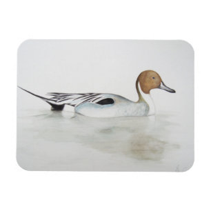 Magnet Flexible Canard 2011 de canard pilet