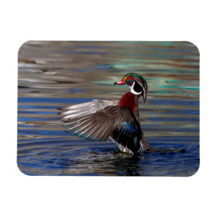 Magnet Flexible Canard à bois
