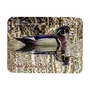 Magnet Flexible Canard de bois mâle nageant dans l'étang puzzle