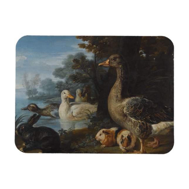 Magnet Flexible Canards Cochons de Guinée et un lapin dans un pays (Horizontal)