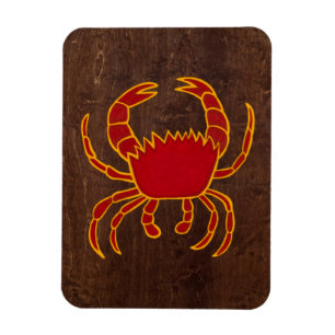 Magnet Flexible Cancer 2009