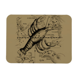 Magnet Flexible Cancer Zodiac Constellation par Hevelius 1690