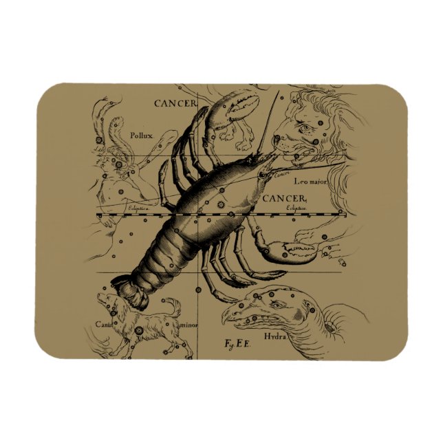 Magnet Flexible Cancer Zodiac Constellation par Hevelius 1690 (Horizontal)