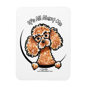 Magnet Flexible Caniche miniature IAAM de jouet d'abricot