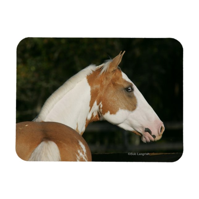 Magnet Flexible Capture d'écran du Cheval de peinture 2 (Horizontal)