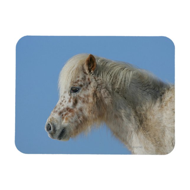 Magnet Flexible Capture d'écran du cheval miniature (Horizontal)