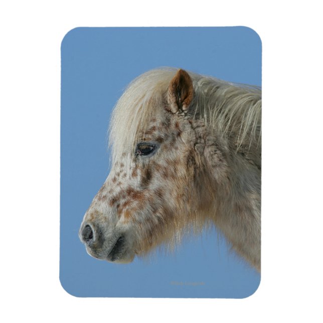 Magnet Flexible Capture d'écran du cheval miniature (Vertical)