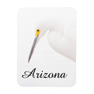 Magnet Flexible Capture d'écran Egret, Arizona