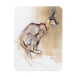 Magnet Flexible Caracal posé 2009