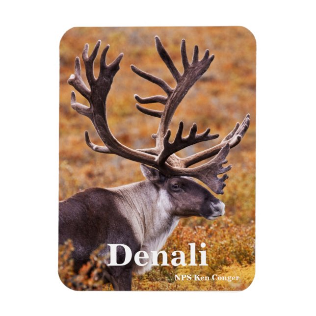 Magnet Flexible Caribou à Denali (Vertical)