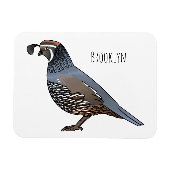 Magnet Flexible Caricature d'oiseau de caille de Californie (Horizontal)